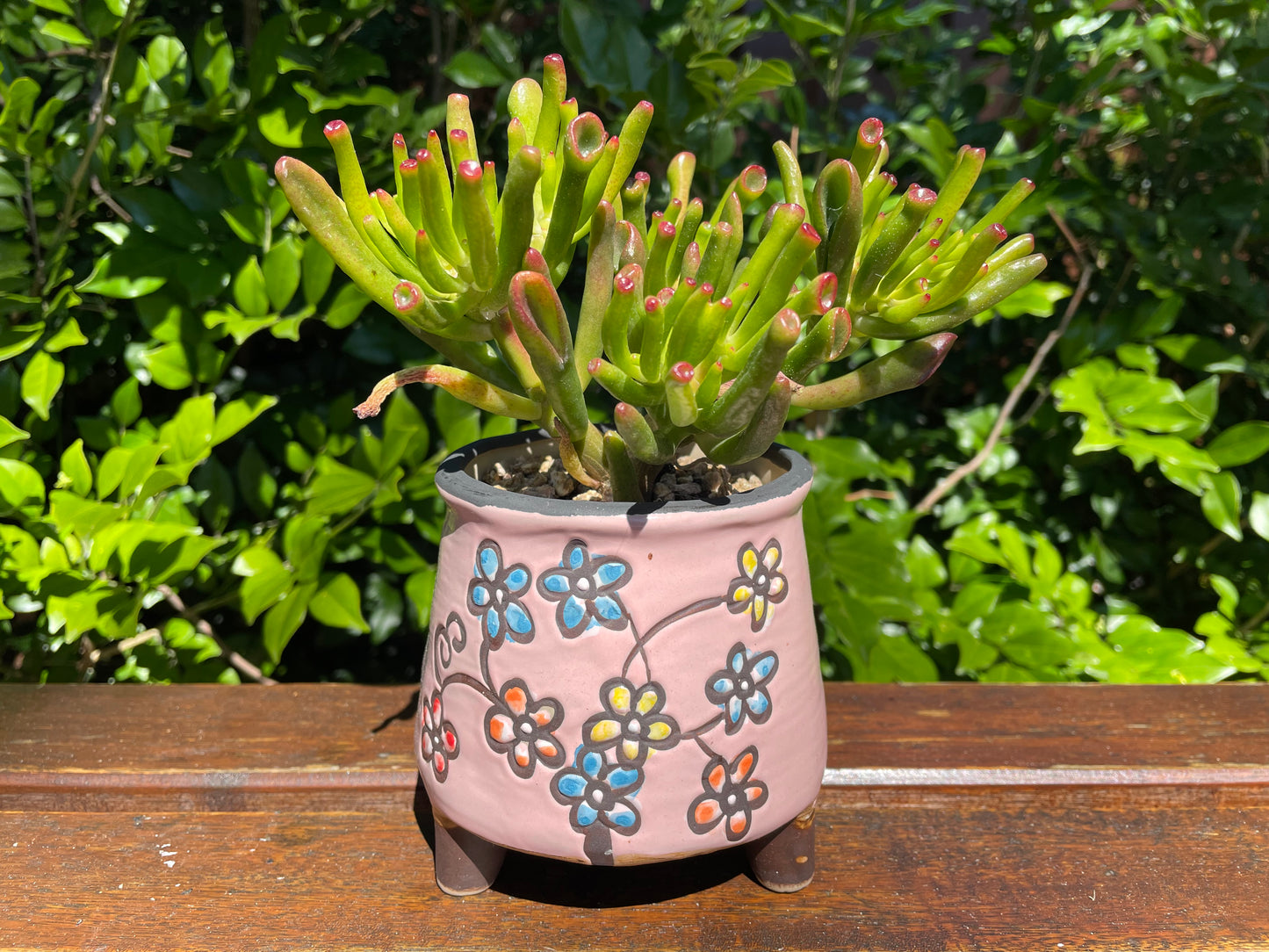 Pink Ceramic Pots with Feet Hand Painted Succulent Cactus Planter Set pf 6