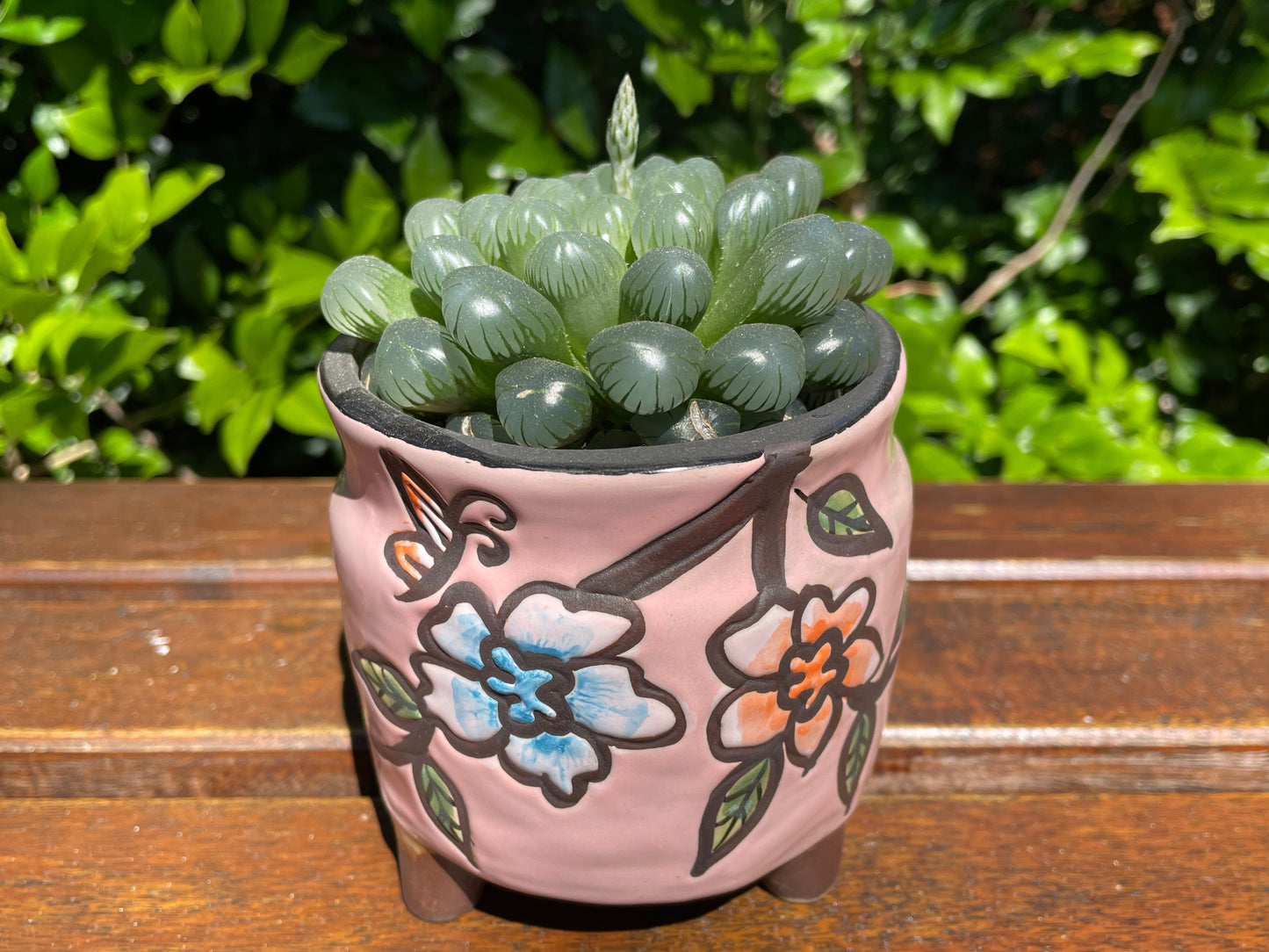 Pink Ceramic Pots with Feet Hand Painted Succulent Cactus Planter Set pf 6