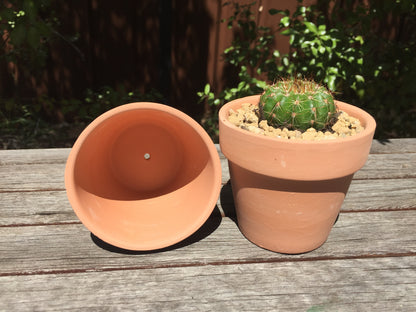 Set of 48 Terracotta Succulent and Cactus Planters with 8cm Draining Holes