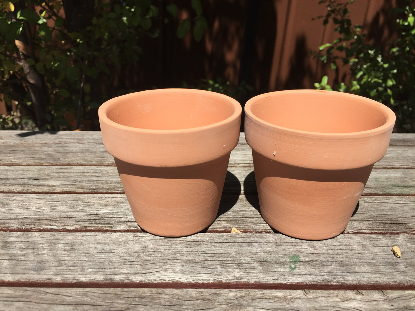 Set of 48 Terracotta Succulent and Cactus Planters with 8cm Draining Holes