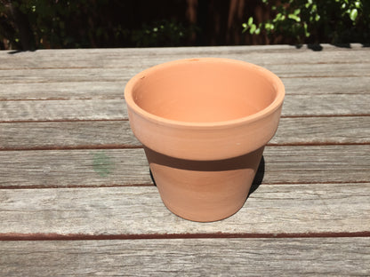 Set of 48 Terracotta Succulent and Cactus Planters with 8cm Draining Holes