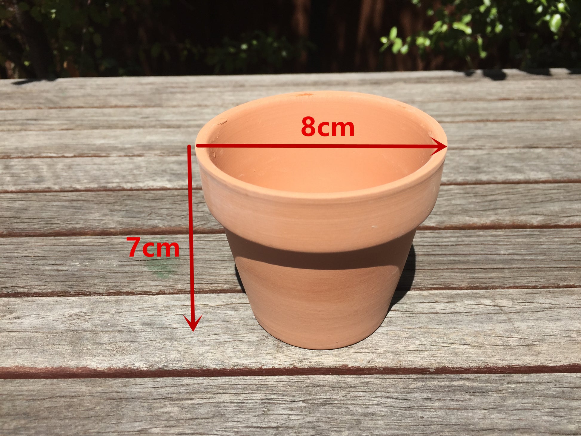 8cm plant pot 8cm Terracotta Round Pot Draining Hole for Succulents Cacti Flowers – GO&GO PTY LTD