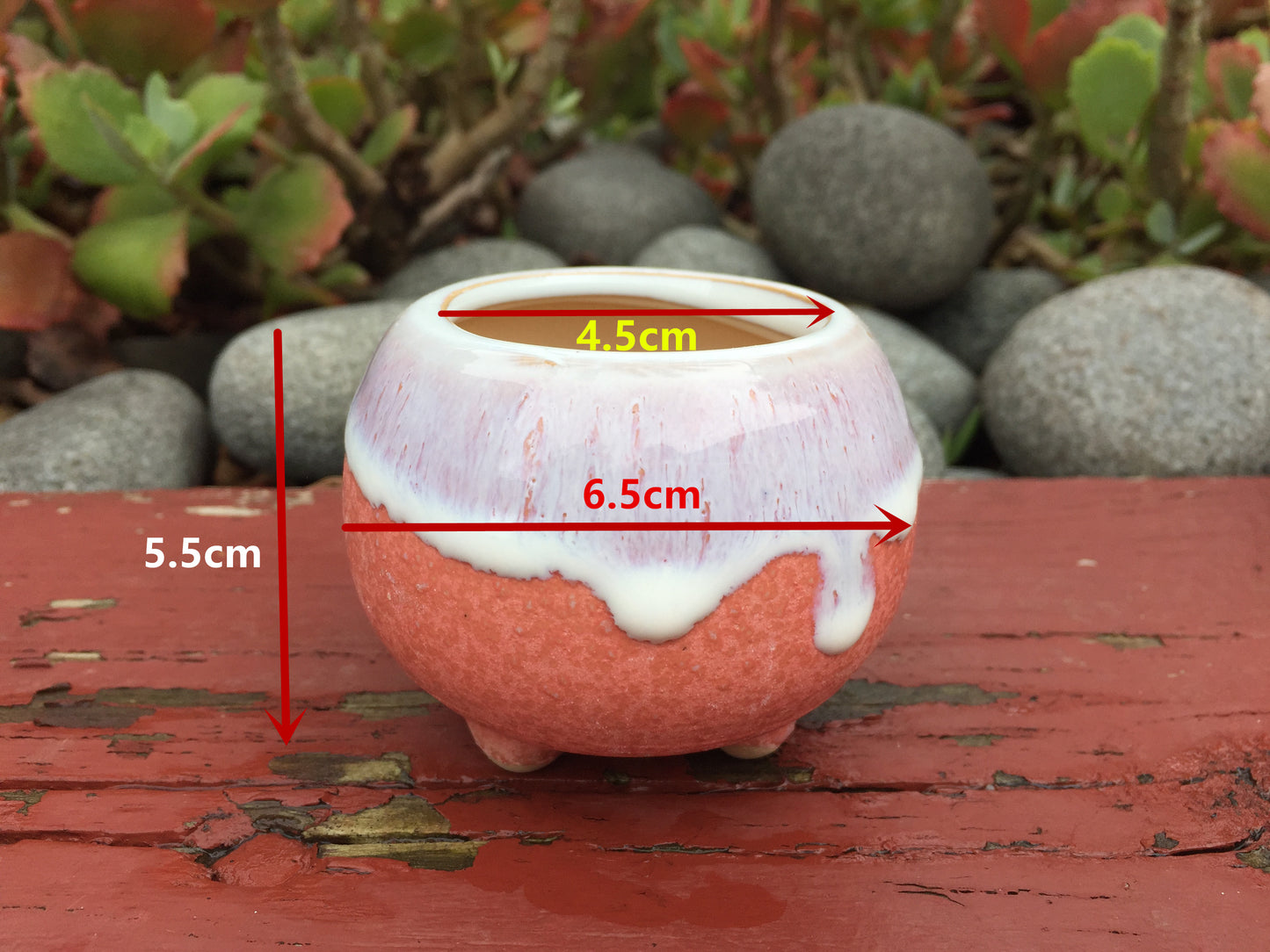 6 Mini Ceramic Succulent Pots with Feet