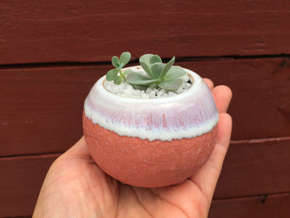 6 Mini Ceramic Succulent Pots with Feet