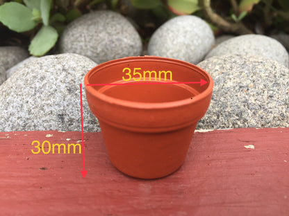 120x Mini Plastic Pot Planter Succulent Flower Nursery Seeding Thick 35mm Round