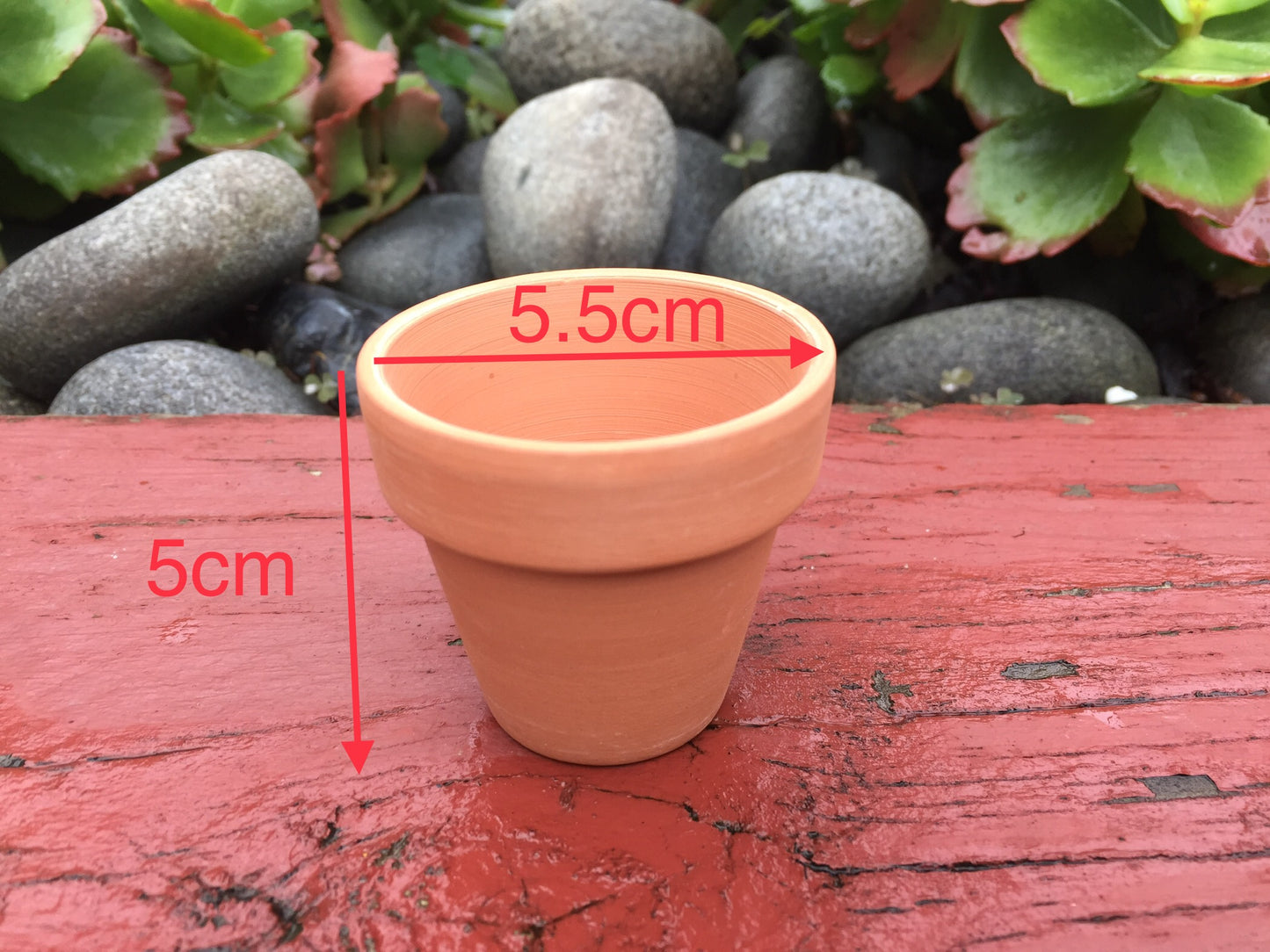 80 Mini Terracotta Pots - Perfect for Succulents, Cacti, and Home/Office Decor - 5.5cm