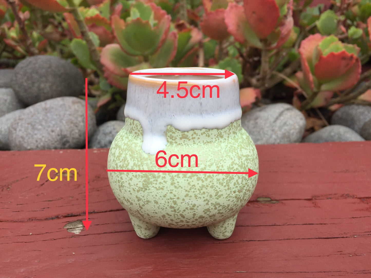 6 Mini Ceramic Succulent Pots with Feet