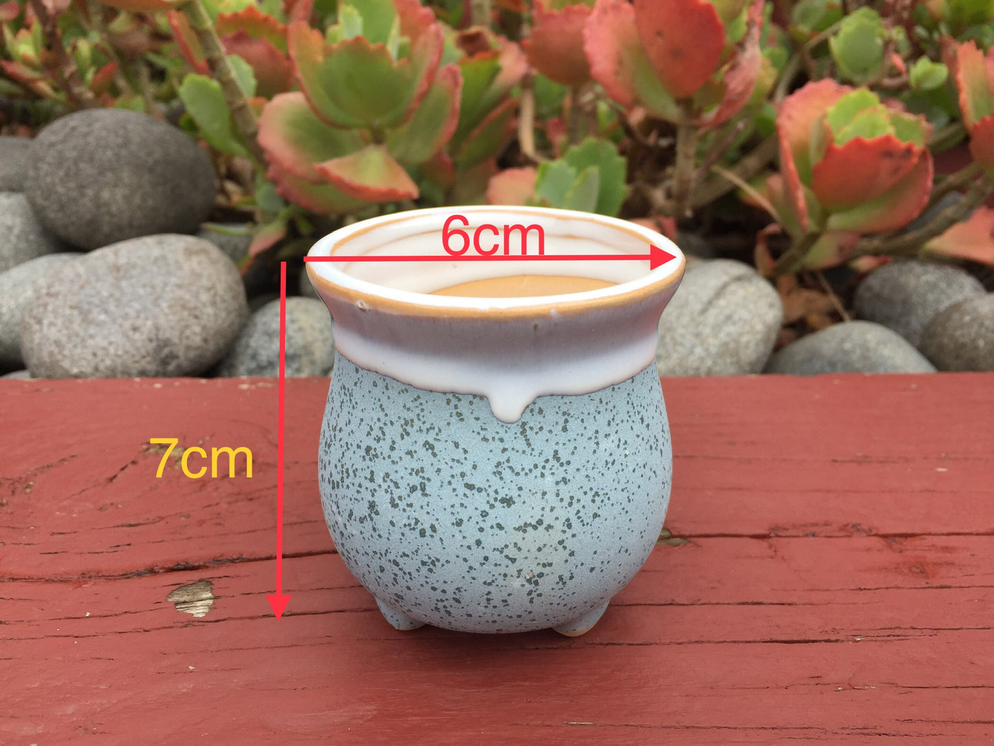 6 Mini Ceramic Succulent Pots with Feet