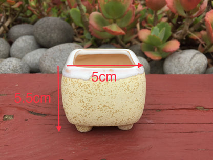 6 Mini Ceramic Succulent Pots with Feet