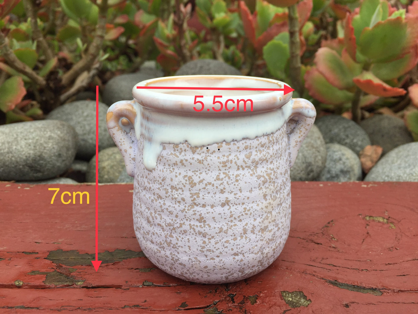 6 Mini Ceramic Succulent Pots with Feet